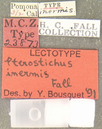 Media type: image;   Entomology 23873 Aspect: labels
